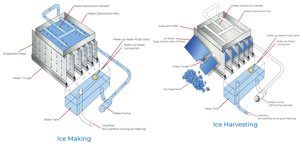 MCLA icemaking harvesting 1